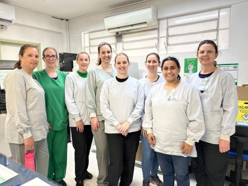 Hospital Santa Terezinha: nosso Plano de Saúde apresenta bons números em 2025